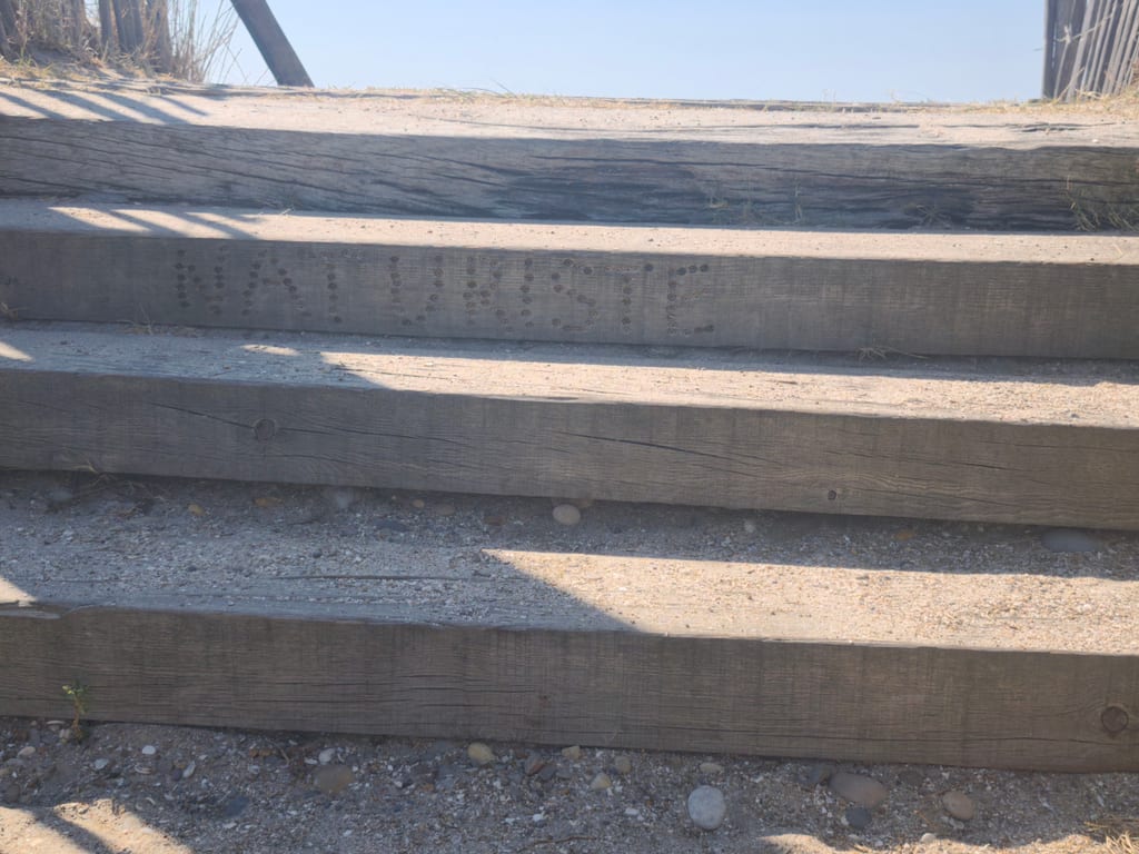 Photo shows a sunlit wooden barrier with textured planks and small decorative dots, outdoors on gravel beside dry grass, with a bright sky in the background.